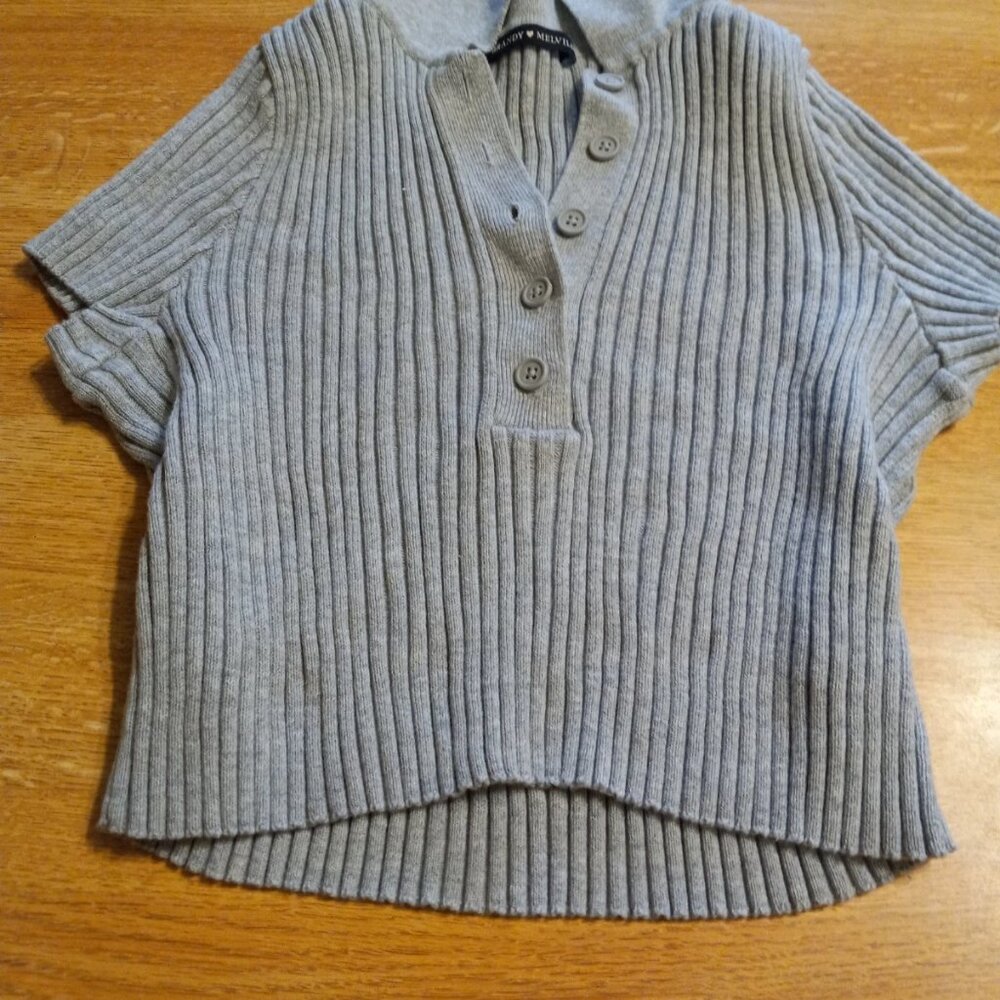 Brandy Melville Gray Cropped Top